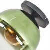Koyoto Plafondlamp, Kogellampje 30 cm Groen, Duidelijk, 1-licht