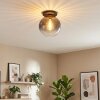Koyoto Plafondlamp, Kogellampje 30 cm Duidelijk, Rookkleurig, 1-licht