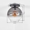 Koyoto Plafondlamp, Kogellampje 30 cm Duidelijk, Rookkleurig, 1-licht