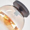 Koyoto Plafondlamp, Kogellampje 30 cm Amber, Duidelijk, 1-licht