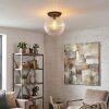 Koyoto Plafondlamp, Kogellampje 30 cm Duidelijk, 1-licht