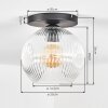 Ripoll Plafondlamp, Kogellampje Duidelijk, 1-licht
