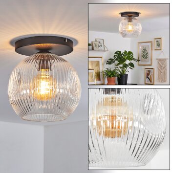 Ripoll Plafondlamp, Kogellampje Duidelijk, 1-licht