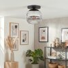 Ripoll Plafondlamp, Kogellampje Duidelijk, Rookkleurig, 1-licht