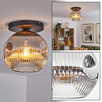 Ripoll Plafondlamp, Kogellampje Duidelijk, Rookkleurig, 1-licht