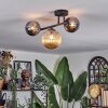 Chehalis Plafondlamp, Kogellampje Amber, Chroom, Rookkleurig, 3-lichts