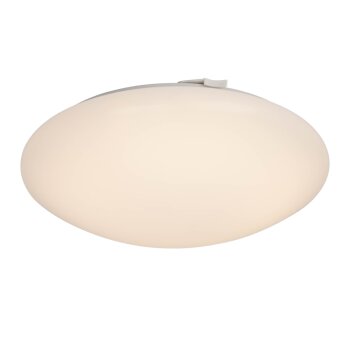 AEG Basic Plafondlamp, Wand- en plafondlamp LED Wit, 1-licht