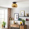Koyoto Plafondlamp, Kogellampje 30 cm Goud, Duidelijk, 1-licht