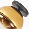 Koyoto Plafondlamp, Kogellampje 30 cm Goud, Duidelijk, 1-licht