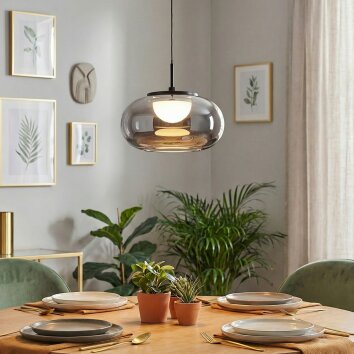 Ironel Hanglamp, Hanglamp LED Zwart, 1-licht