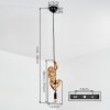 Evelis Hanglamp, Hanglamp Goud, Zwart, 1-licht