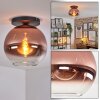 Koyoto Plafondlamp, Kogellampje 30 cm Duidelijk, Koperkleurig, 1-licht