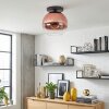 Koyoto Plafondlamp, Kogellampje 30 cm Duidelijk, Koperkleurig, 1-licht