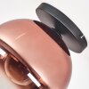 Koyoto Plafondlamp, Kogellampje 30 cm Duidelijk, Koperkleurig, 1-licht