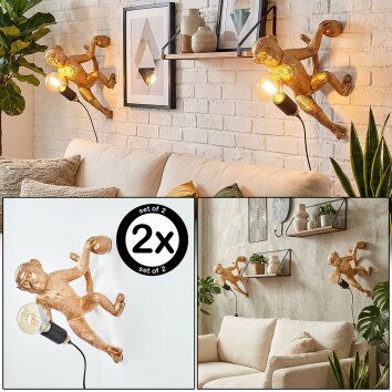 Leonix Wandlamp Goud, Zwart, 1-licht