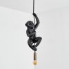 Evelis Hanglamp, Hanglamp Goud, Zwart, 1-licht