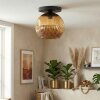 Ripoll Plafondlamp, Kogellampje Goud, 1-licht