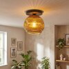 Ripoll Plafondlamp, Kogellampje Goud, 1-licht