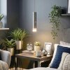 Molten Hanglamp, Hanglamp LED Nikkel mat, 1-licht