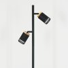 Fenik Staande lamp LED Zwart, 2-lichts