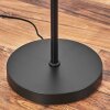 Deran Staande lamp Zwart, 1-licht