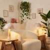 Paddestoel lamp  Forgek Tafellamp Champagne, houtlook, 1-licht