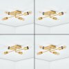 Bogno Plafondlamp Messing, 4-lichts