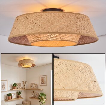 Orvex Plafondlamp Zwart, 1-licht