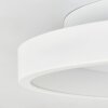 Tulin Plafondlamp LED Wit, 1-licht, Afstandsbediening