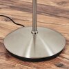 Karol Staande lamp LED Nikkel mat, 2-lichts