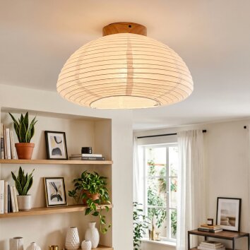 Lonir Plafondlamp Natuurlijke kleuren, 1-licht