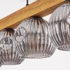 Ripoll Hanglamp, Kogellampje, Hanglamp Natuurlijke kleuren, Zwart, 5-lichts