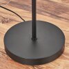 Kolin Staande lamp Zwart, 1-licht