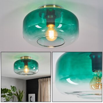 Boza Plafondlamp Goud, Zwart, 1-licht