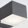 AEG Amity Buiten muurverlichting LED Antraciet, 1-licht