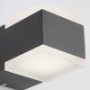 AEG Amity Buiten muurverlichting LED Antraciet, 2-lichts
