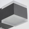 AEG Amity Buiten muurverlichting LED Antraciet, 2-lichts