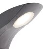 AEG Brynna Wandlamp LED Antraciet, 1-licht