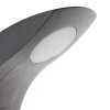 AEG Brynna Wandlamp LED Antraciet, 1-licht