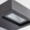 AEG Glynn Buiten muurverlichting LED Antraciet, 1-licht