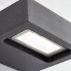 AEG Glynn Buiten muurverlichting LED Antraciet, 1-licht