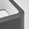 Faren Wandlamp voor buiten, Licht omhoog & omlaag, Wandlamp LED Antraciet, 1-licht