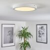 Finsrud Plafondlamp LED Wit, 1-licht