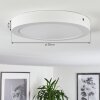 Finsrud Plafondlamp LED Wit, 1-licht