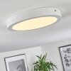 Finsrud Plafondlamp LED Wit, 1-licht