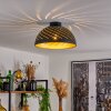 Osina Plafondlamp Zwart, 1-licht