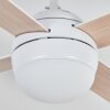 Lenok Plafondventilator met verlichting LED Wit, 1-licht, Afstandsbediening