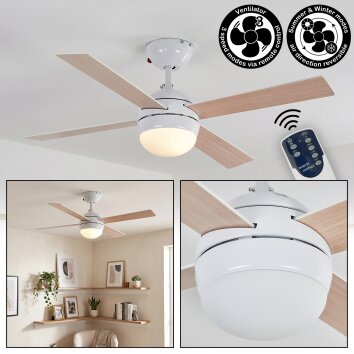 Lenok Plafondventilator met verlichting LED Wit, 1-licht, Afstandsbediening