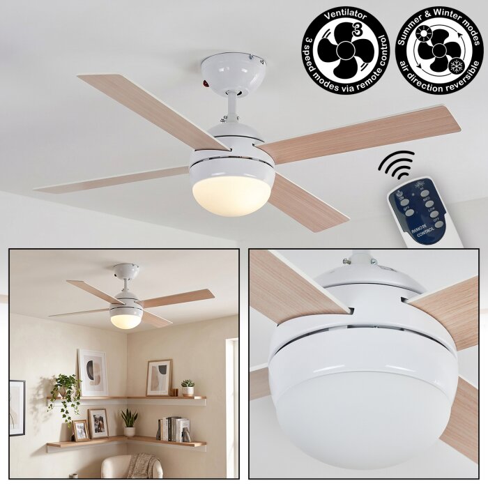 Lenok Plafondventilator met verlichting LED Wit, 1-licht, Afstandsbediening