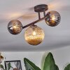 Chehalis Plafondlamp, Kogellampje Amber, Chroom, Rookkleurig, 3-lichts